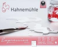 Hahnem&uuml;hle Aquarellpapier Hahnem&uuml;hle Expression matt 24x30 cm, 20 Blatt, f&uuml;r