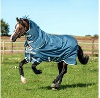 Horseware Pferde-Thermodecke Horseware AmEco Bravo 12 Plus Turnout 100g - Teal/Grey