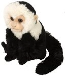 WILD REPUBLIC &nbsp;&nbsp; Kuscheltier Wild Republic - Kuscheltier - Cuddlekins Mini -