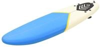 vidaXL Windsurfboard, Surfbrett 170 cm Blau und Creme
