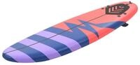 vidaXL Windsurfboard, Surfbrett 170 cm Streifen
