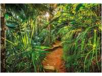 Komar Jungle Trail 368 x 254 cm