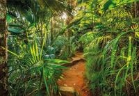 Komar Fototapete Jungle Trail - Gr&ouml;&szlig;e 368 x 254 cm, glatt, bedruckt,...