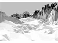 Komar Icefields 368 x 254 cm