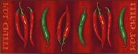 wash+dry by Kleen-Tex L&auml;ufer Teppichl&auml;ufer 75x190 Hot Chilli anthrazit, L&auml;ufer