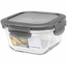 LOCK & LOCK Teedose Box "Boroseal" 0,3 l quadratisch 12 x 12 x 6,5 cm, transparent,