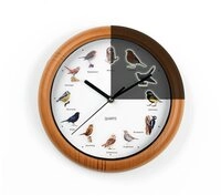 MAXXMEE Wanduhr unterschiedliche Vogelstimmen 25cm (leuchtet im Dunkeln &