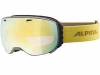 Alpina Sports Skibrille Alpina Big Horn Skibrille Snowboardbrille Doublleflex...