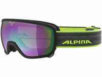 Alpina Sports Skibrille SCARABEO HM