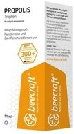 Roha Arzneimittel GmbH Mundsp&uuml;lung BEECRAFT Propolis Tropfen...