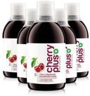 Cellavent Healthcare Montmorency Sauerkirschsaft Konzentrat - Cherry PLUS Konzentrat