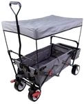 FUXTEC Bollerwagen FX-CT350, inkl. Sonnen-/Regendach, 75 kg Belastbarkeit,...