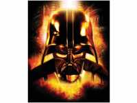 Komar Star Wars Classic Vader Head 40x50cm