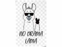 Reinders! Poster No Drama Lama, (1 St)