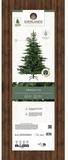 Kaemingk K&uuml;nstlicher Weihnachtsbaum K&uuml;nstlicher Weihnachtsbaum Grandis Tanne...