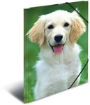 HERMA F&auml;chermappe Gummizugmappe A3 PP (Polypropylen) Hunde