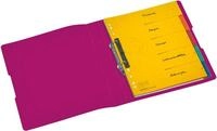 Herlitz Pr&auml;sentationsordner Ringbuch A4 2 Ringe PP 25mm beere opak to go