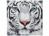 Craft Buddy Crystal Art Kit auf Holzrahmen-Leinwand Weißer Tiger 30 x 30 cm...