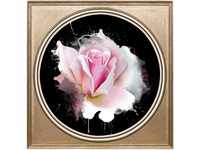 queence Acrylglasbild Rosa Rose
