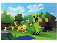 Reinders! Poster Poster Minecraft, Spiele (1 St)