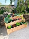 WESTMANN Hochbeet Treppenhochbeet, BxTxH: 120x76x64 cm