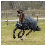 Bucas Pferde-Thermodecke Bucas Anniversary Turnout Medium SD 150g -...