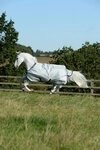Bucas Ausreitdecke Outdoordecke Power Turnout 0g in Silver