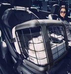 4pets Hunde-Transportbox Dog Caree Transportbox bis 15 kg