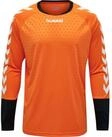 hummel Torwarttrikot Hummel Kinder Torwarttrikot Essential GK Jersey 104087