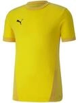 PUMA Funktionsshirt Puma teamGOAL 23