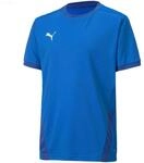 PUMA Funktionsshirt Puma teamGOAL 23