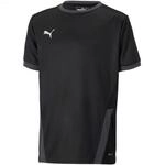 PUMA Funktionsshirt Puma teamGOAL 23