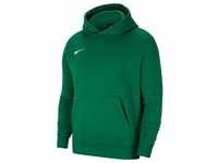 Nike Park 20 Fleece Hoodie Junior (CW6896) pine green/white