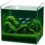 GarPet Aquarium W&uuml;rfel Aquarium Becken 30 35 40 Glasaquarium Garnelen Nano Cube 35
