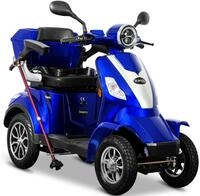 Rolektro Elektromobil Rolektro E-Quad 25 V.2, Blei-Gel-Akku, 1000 W, 25 km/h,...