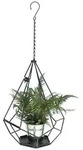 DanDiBo Blumenampel Innen Metall Wand H&auml;ngepflanzen 96075 mit T&uuml;r 6 Ecken