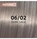 Wella Haarfarbe Wella ShineFinity Zero Lift Glaze 06/02 Dark Sage 60ml