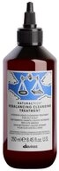 Davines Haarkur Davines Naturaltech Rebalancing Treatment 250 ml