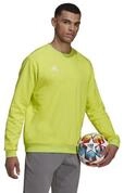 adidas Performance Sweatshirt Entrada 22