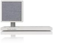 Tivoli Audio Revive Bluetooth-Lautsprecher (Bluetooth, inkl. LED-Lampe,
