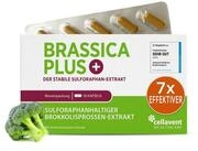 Cellavent Healthcare Effektive Brokkolisprossen Sulforaphan Kapseln - Brassica...