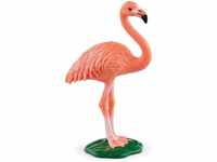 Schleich® Spielfigur 14849 - Wild Life Tierfigur - Flamingo