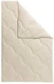 fan Naturfaserbettdecke TENCEL&trade; Leinen, F&uuml;llung: 50% Lyocell (TENCEL), 50% Leinen,