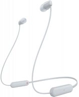 Sony Sony WI-C100 Headset