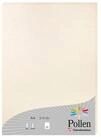 CLAIREFONTAINE Druckerpapier Clairefontaine Papier A4 Pollen 210g perlm elfen 25Bl