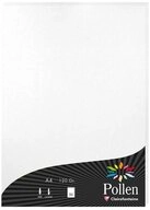 CLAIREFONTAINE Druckerpapier Clairefontaine Papier A4 Pollen 120g perl.weiss 50Bl