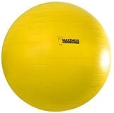 Holland Animal Care Tierball Power Play Ball gelb