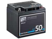 ECTIVE ECTIVE 12V 50Ah LiFePo4 Lithium Akku BMS Wohnmobil LFP BT Batterie, (12...