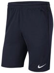 Nike Sporthose Nike Performance Park 20 Knit Short Shorts Herren Park
