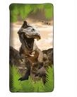 Roth Collegeblock Roth Kinder-Badetuch f&uuml;r den Schwimmunterricht Tyrannosaurus